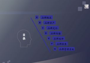 品牌管理 構(gòu)建持久品牌價值的藝術(shù)與科學(xué)