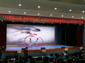 彩云之南喜迎五洲客，多元文化共繪同心圓——云南省首屆國際留學生文化交流周開幕